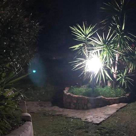 דירות Tertenìa Sarrala מראה חיצוני תמונה